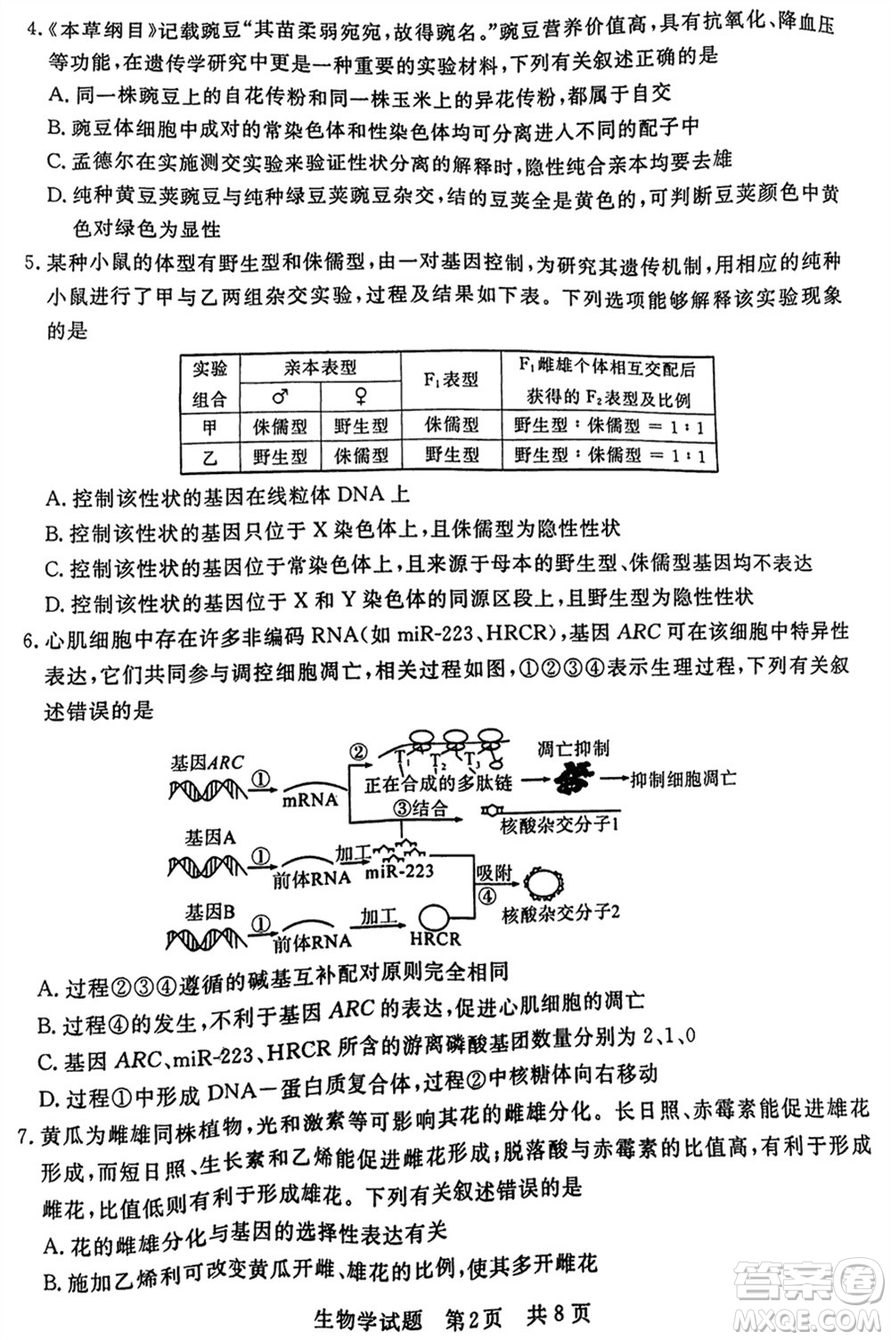 T8聯(lián)考2024屆高三上學(xué)期第一次學(xué)業(yè)質(zhì)量評(píng)價(jià)生物參考答案