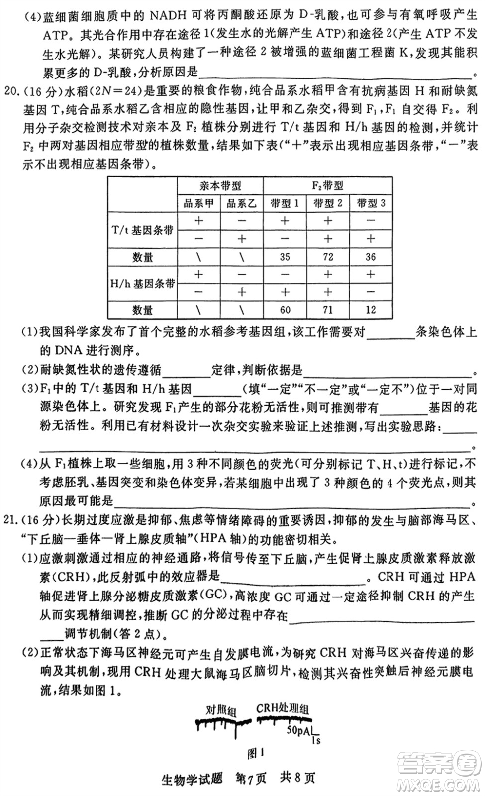 T8聯(lián)考2024屆高三上學(xué)期第一次學(xué)業(yè)質(zhì)量評(píng)價(jià)生物參考答案