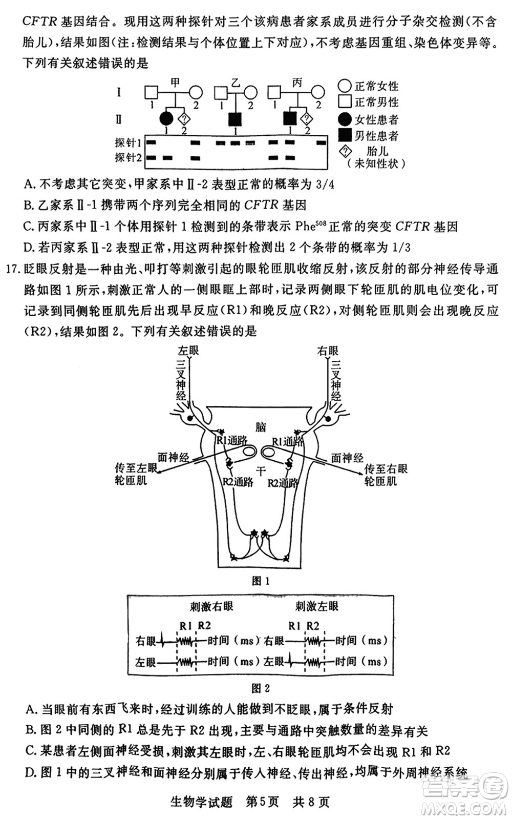 T8聯(lián)考2024屆高三上學(xué)期第一次學(xué)業(yè)質(zhì)量評(píng)價(jià)生物參考答案