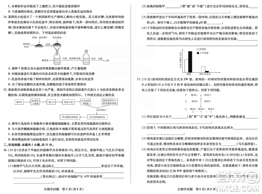 天一大聯(lián)考皖豫名校聯(lián)盟2024屆高中畢業(yè)班上學期第二次考試生物參考答案