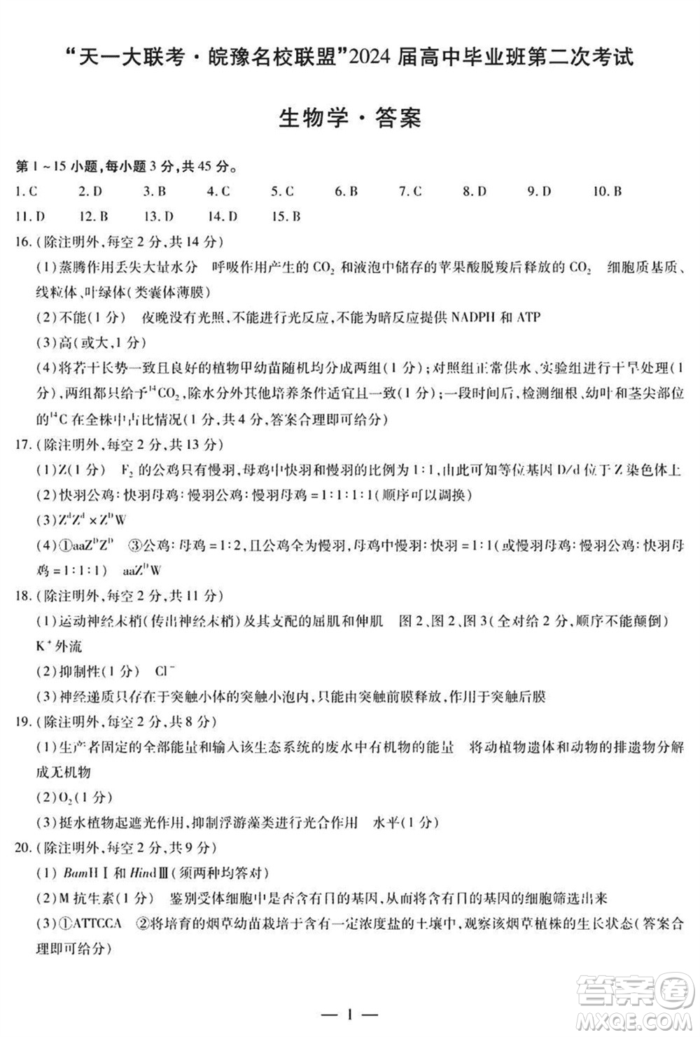 天一大聯(lián)考皖豫名校聯(lián)盟2024屆高中畢業(yè)班上學期第二次考試生物參考答案