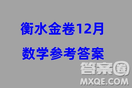 衡水金卷2024屆高三上學期12月大聯(lián)考數(shù)學試題參考答案