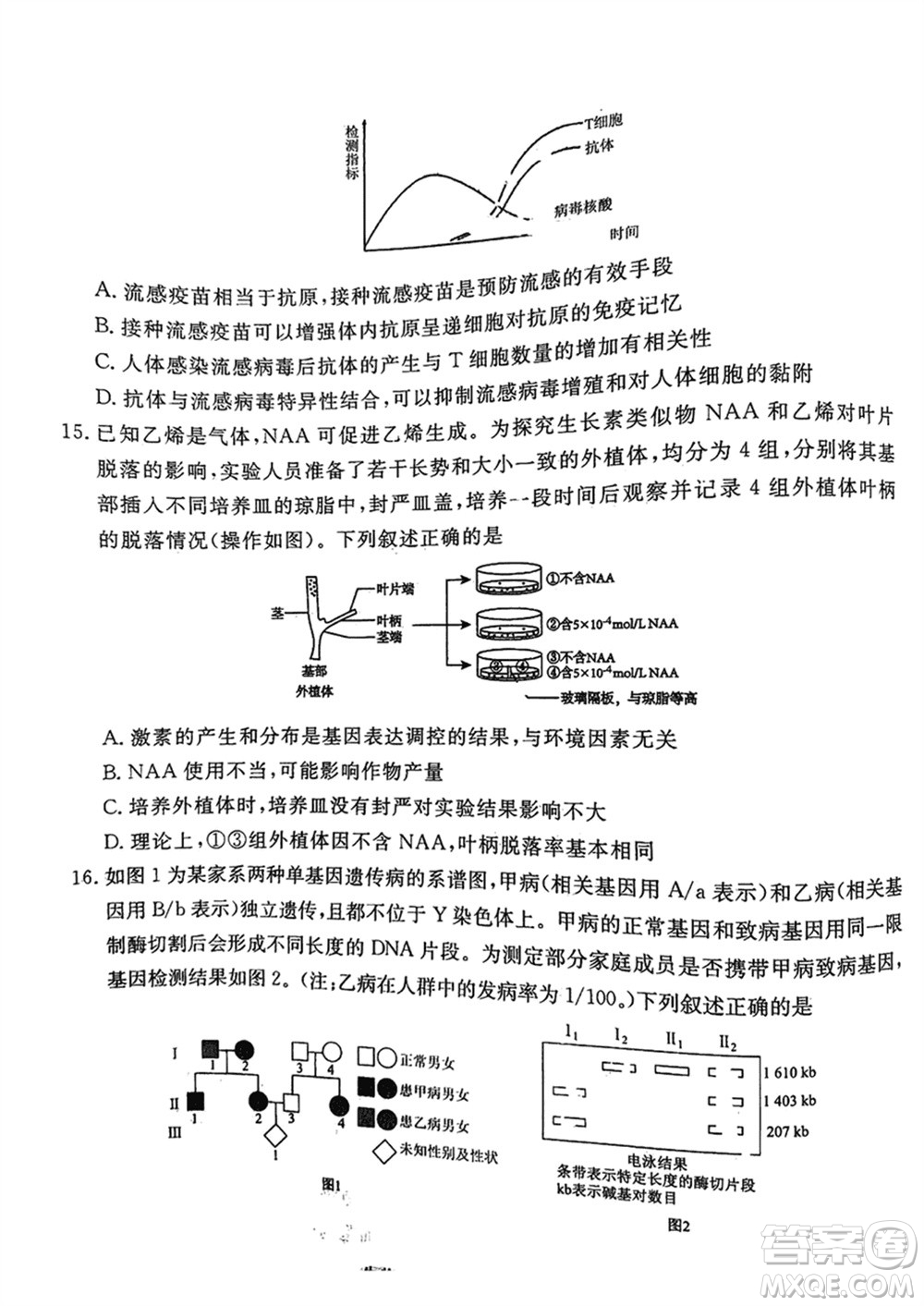 衡水金卷2024屆高三上學(xué)期12月大聯(lián)考生物試題參考答案