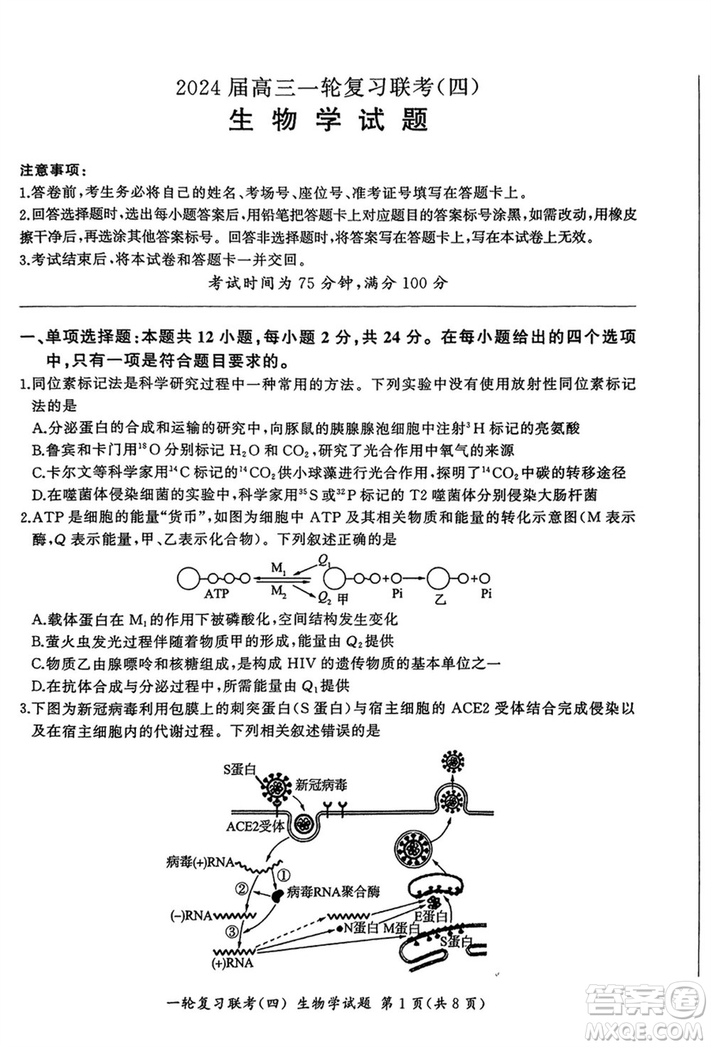 百師聯(lián)盟2024屆高三上學期一輪復習聯(lián)考四江西卷生物參考答案