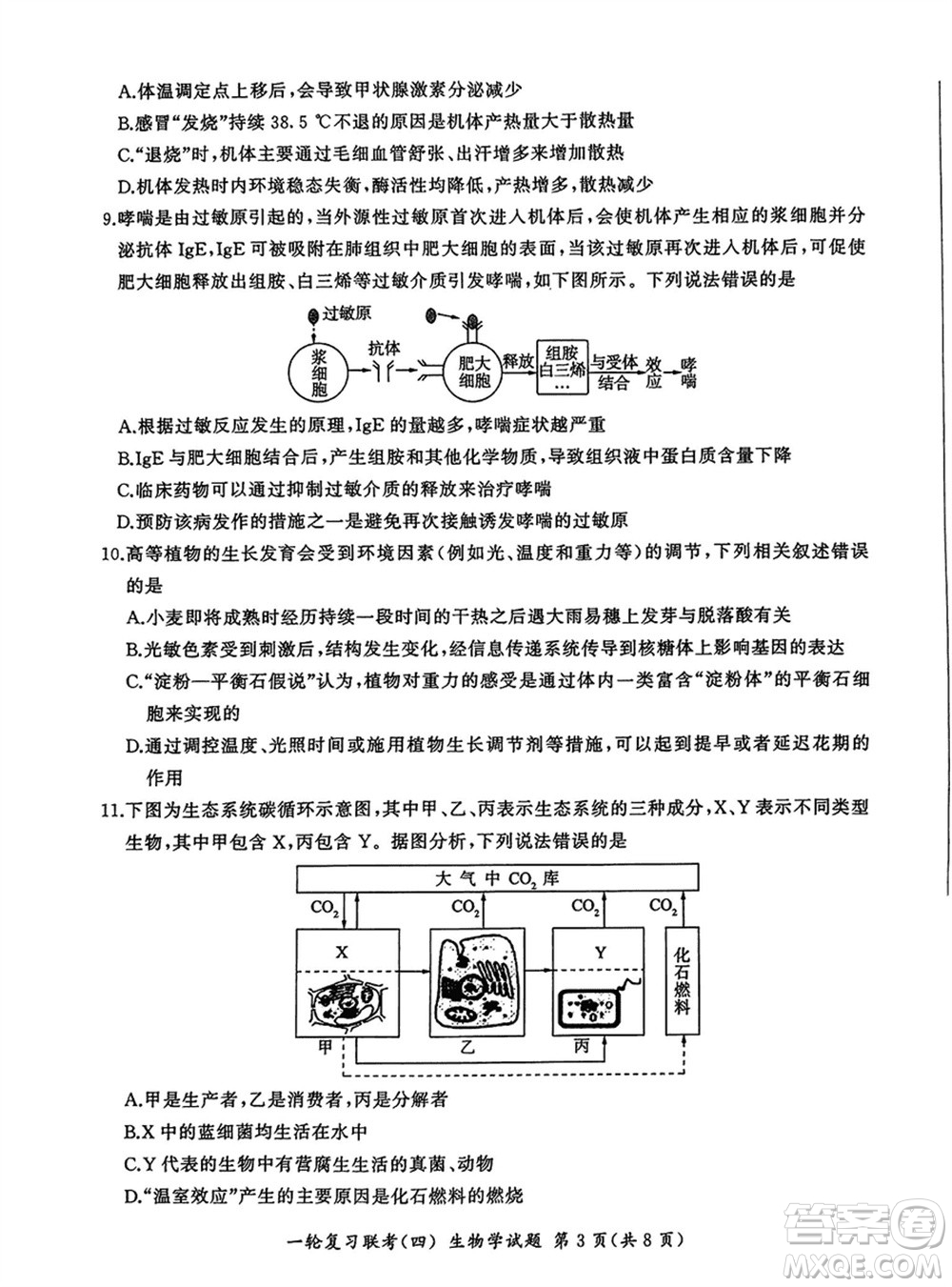 百師聯(lián)盟2024屆高三上學期一輪復習聯(lián)考四江西卷生物參考答案