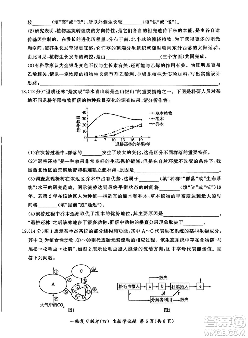 百師聯(lián)盟2024屆高三上學期一輪復習聯(lián)考四江西卷生物參考答案