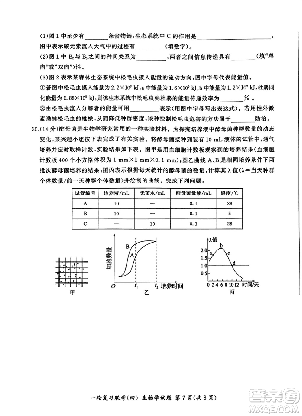 百師聯(lián)盟2024屆高三上學期一輪復習聯(lián)考四江西卷生物參考答案