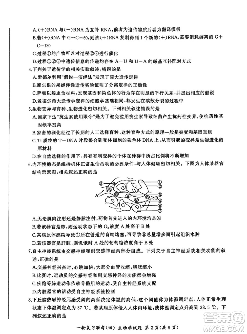 百師聯(lián)盟2024屆高三上學期一輪復習聯(lián)考四江西卷生物參考答案