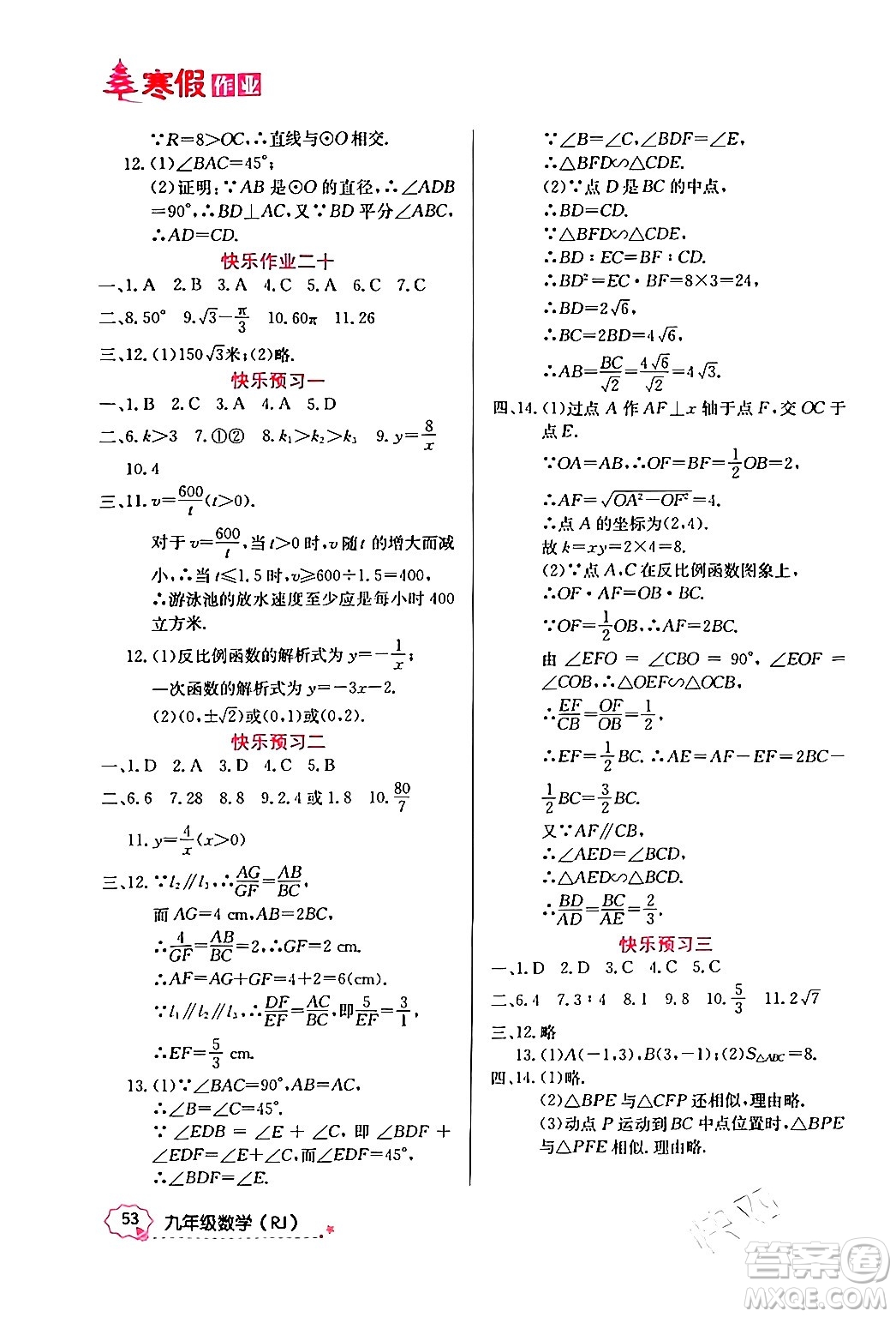 延邊教育出版社2024年寒假作業(yè)九年級(jí)數(shù)學(xué)人教版答案