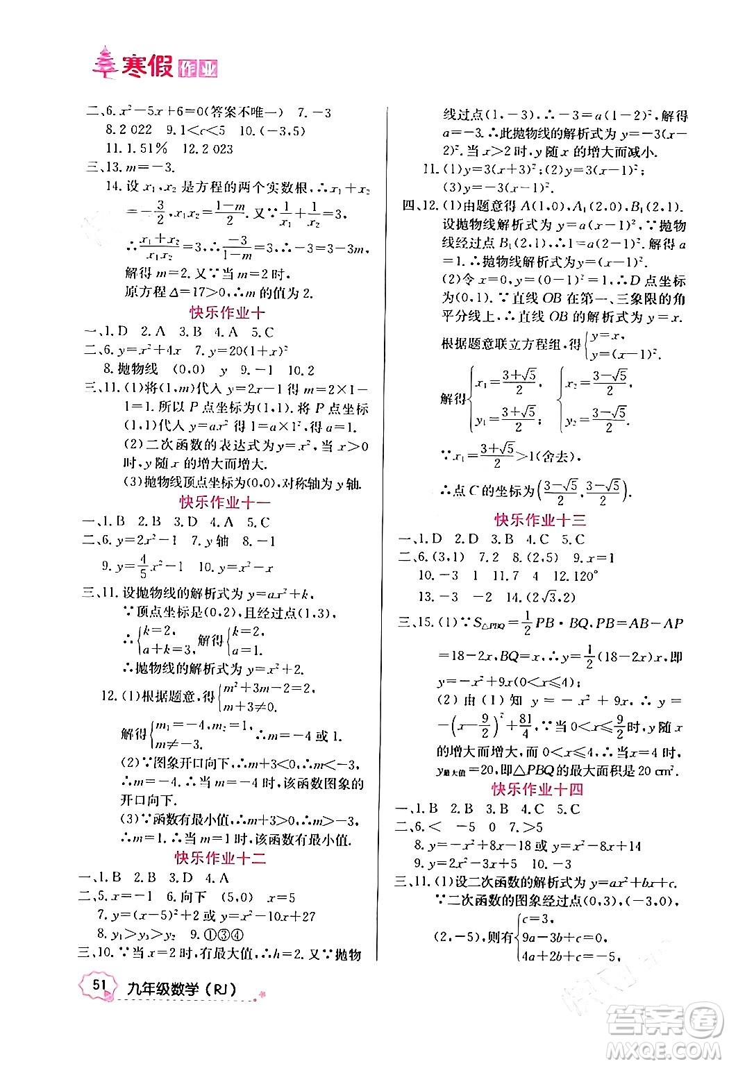 延邊教育出版社2024年寒假作業(yè)九年級(jí)數(shù)學(xué)人教版答案