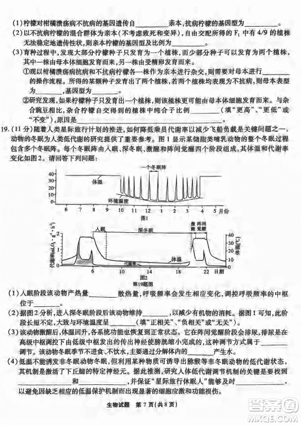 重慶市高2024屆高三上學(xué)期第五次質(zhì)量檢測生物試題參考答案