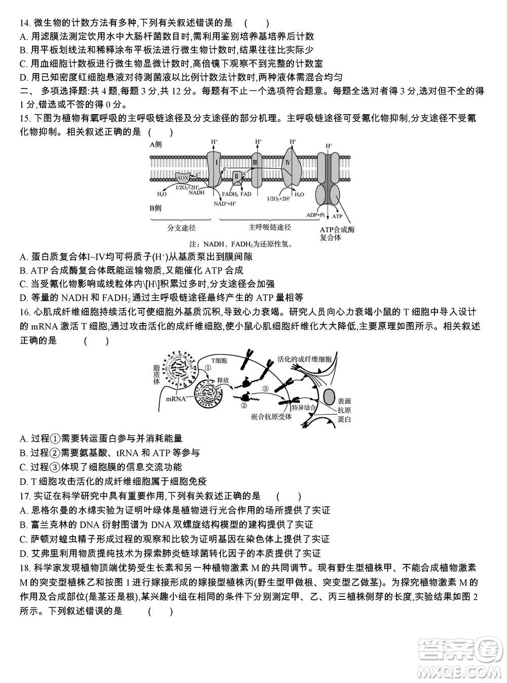 江蘇省2023-2024學(xué)年高三上學(xué)期期末迎考卷生物參考答案