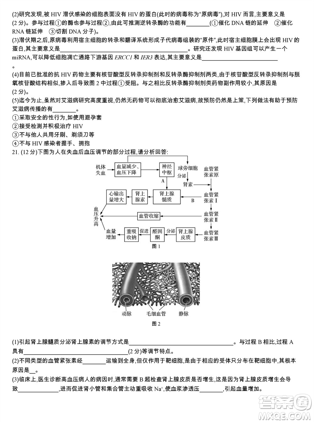 江蘇省2023-2024學(xué)年高三上學(xué)期期末迎考卷生物參考答案