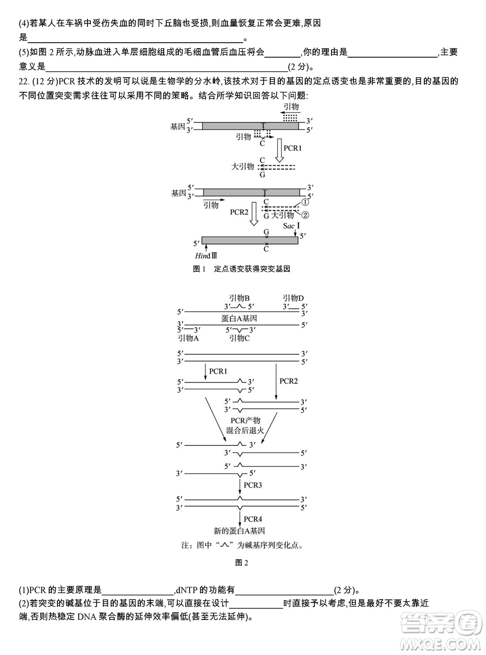 江蘇省2023-2024學(xué)年高三上學(xué)期期末迎考卷生物參考答案