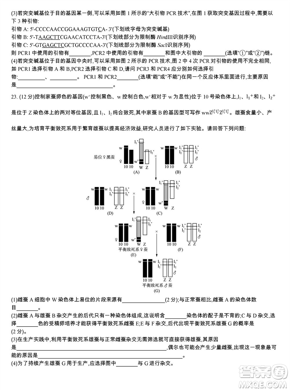 江蘇省2023-2024學(xué)年高三上學(xué)期期末迎考卷生物參考答案