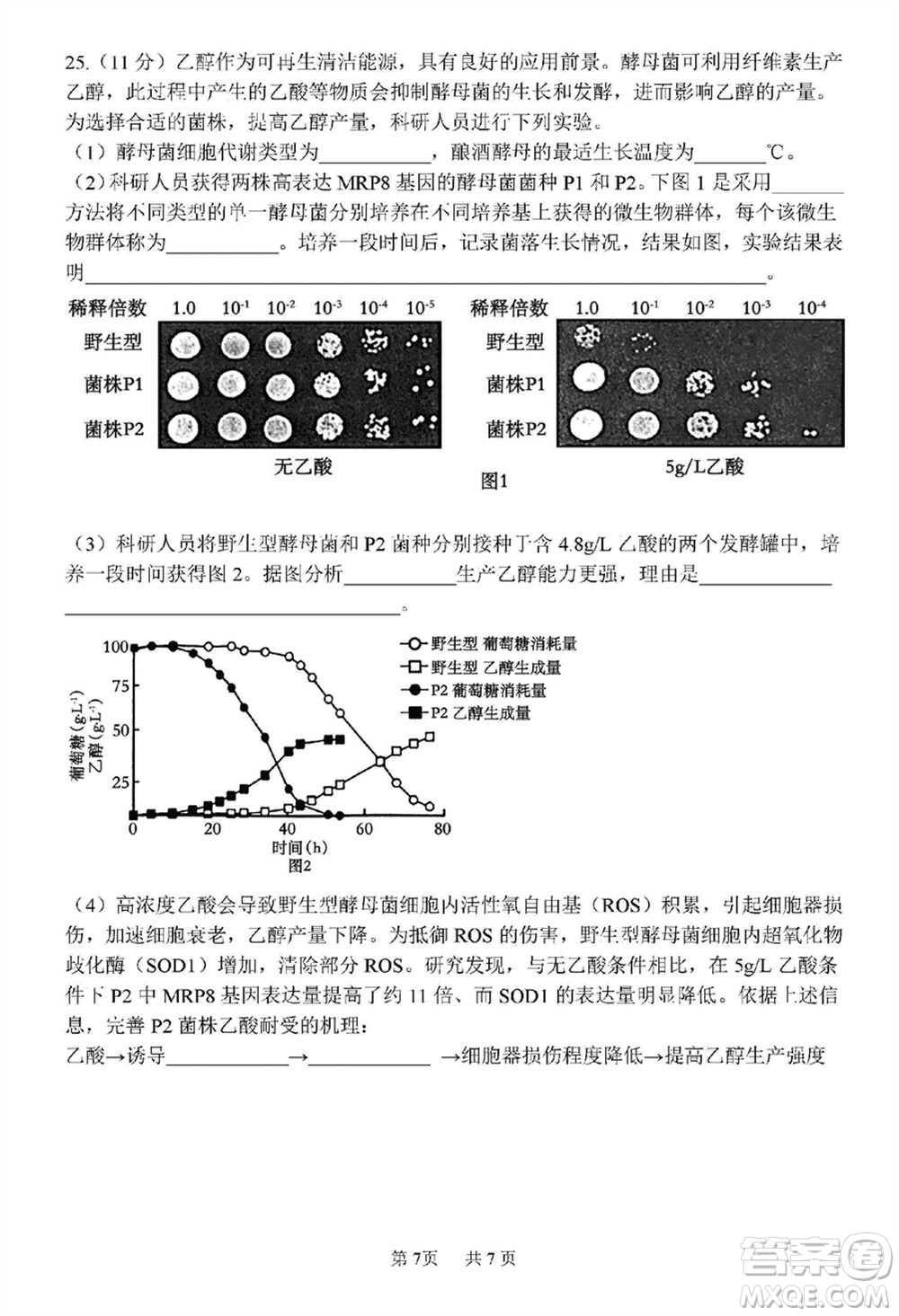 哈三中2023-2024學(xué)年高三上學(xué)期期末考試生物參考答案