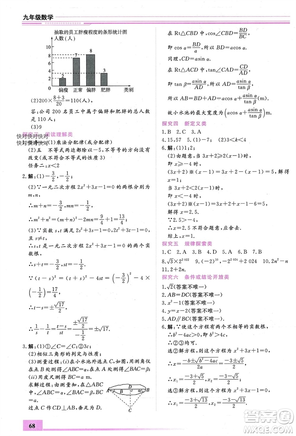 內(nèi)蒙古大學出版社2024文軒假期生活指導(dǎo)寒假作業(yè)九年級數(shù)學課標版參考答案