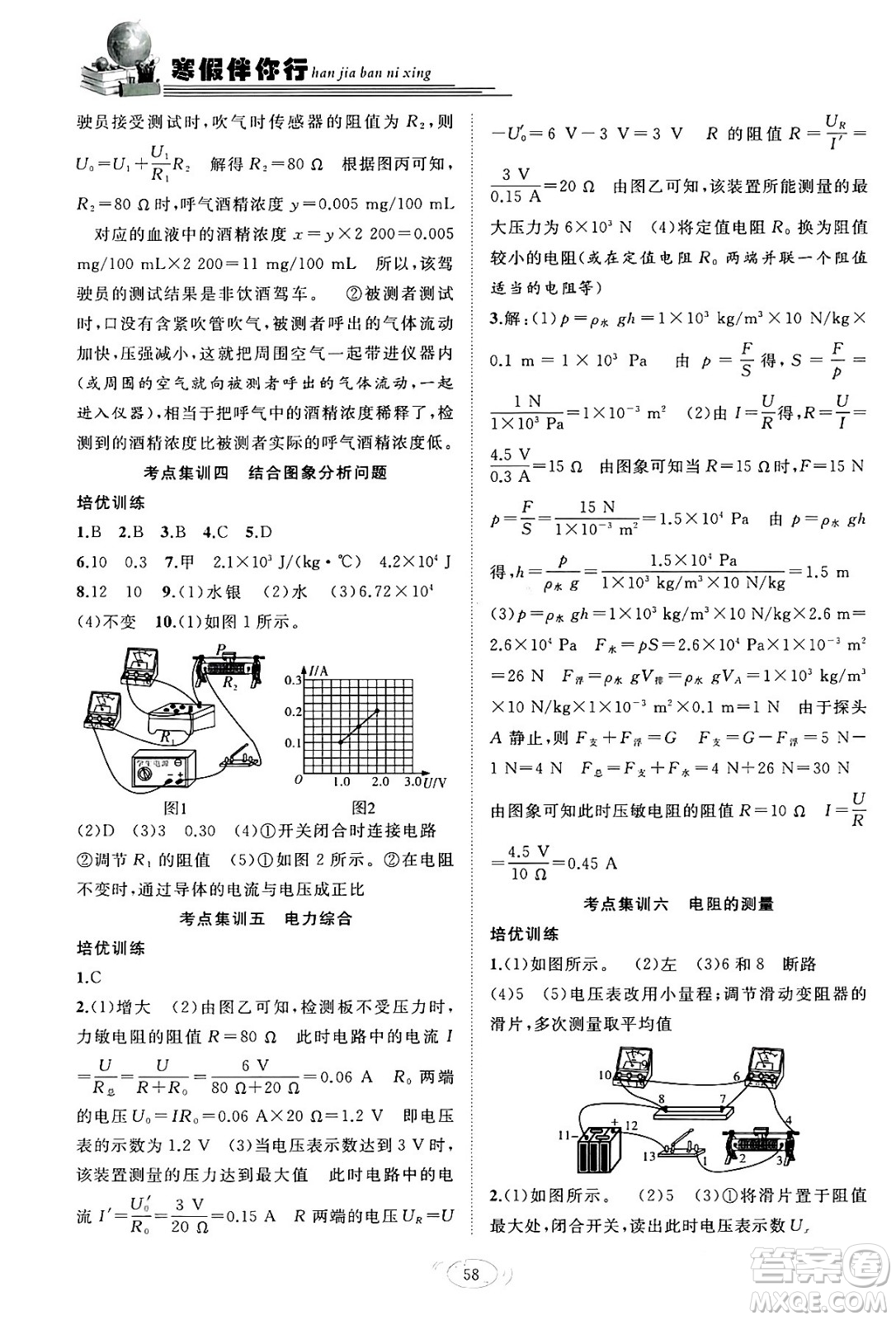 合肥工業(yè)大學(xué)出版社2024假期伴你行寒假復(fù)習(xí)計劃九年級物理人教版答案