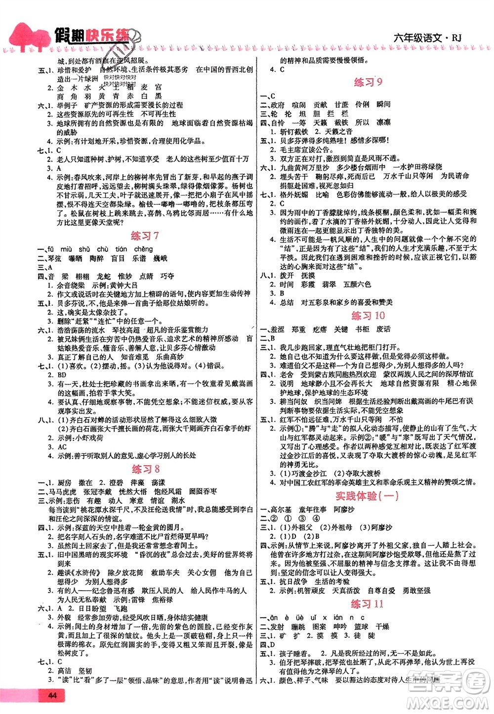 天津科學(xué)技術(shù)出版社2024假期快樂練語文寒假作業(yè)六年級(jí)人教版參考答案