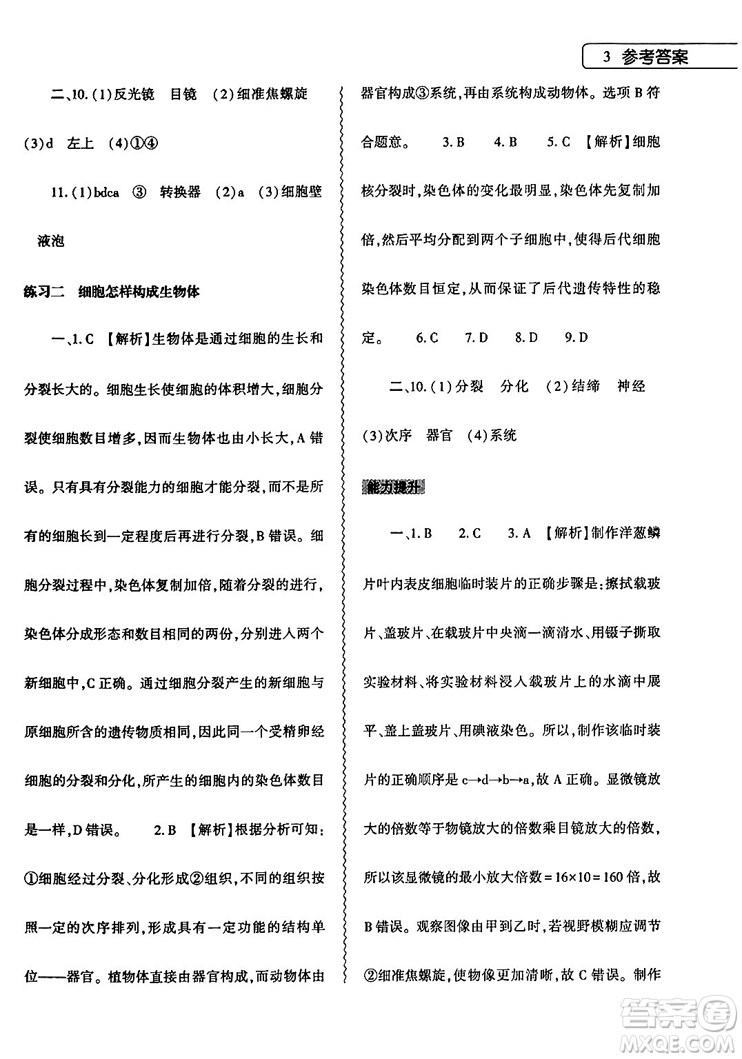 大象出版社2024生物寒假作業(yè)本七年級(jí)生物人教版答案