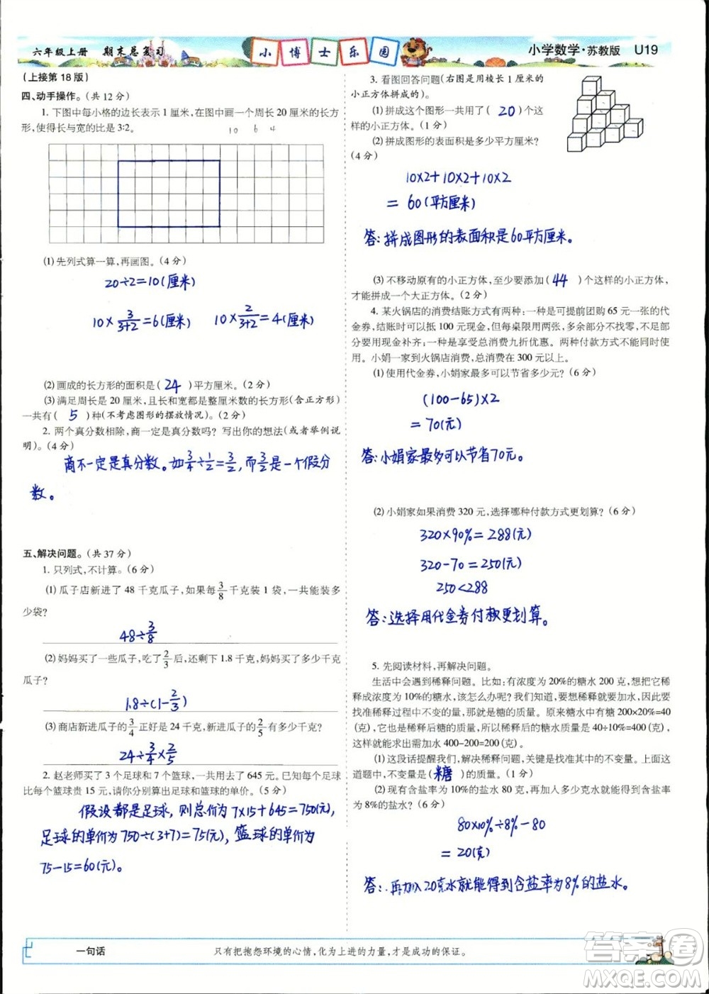 2023年秋少年智力開發(fā)報六年級數(shù)學上冊蘇教版期末總復習合刊參考答案