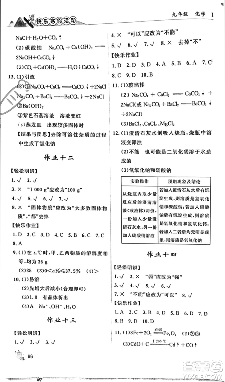 內(nèi)蒙古人民出版社2024快樂寒假活動(dòng)九年級(jí)化學(xué)通用版參考答案