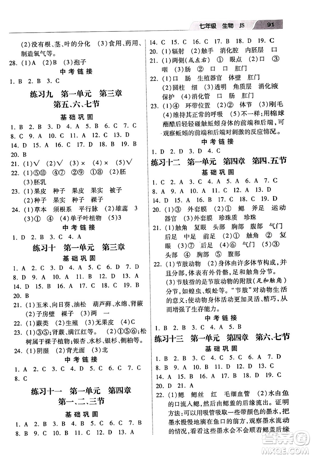 河北美術(shù)出版社2024寒假作業(yè)七年級生物江蘇版答案