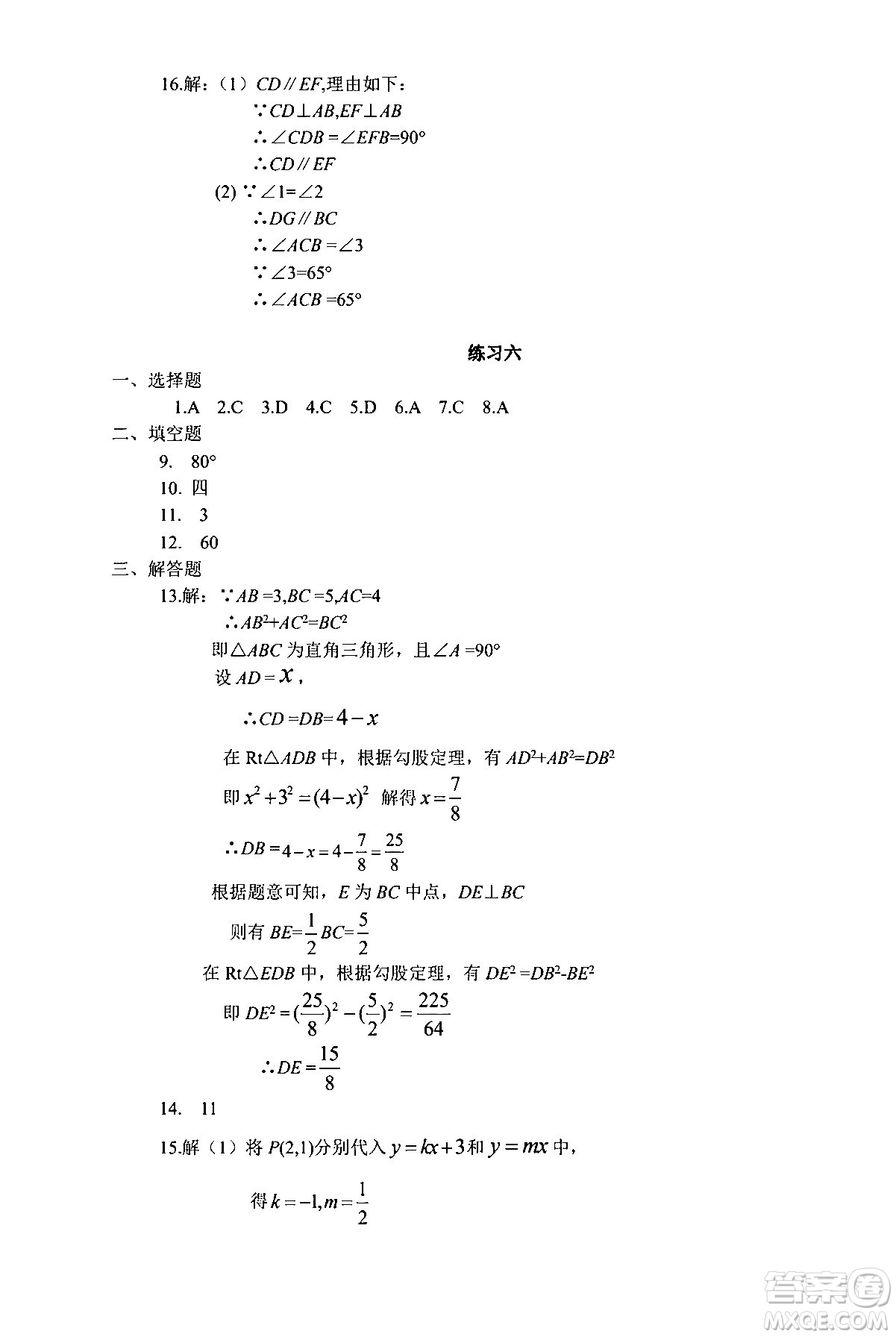 中西書局2024精彩假期寒假作業(yè)八年級(jí)合訂本通用版答案