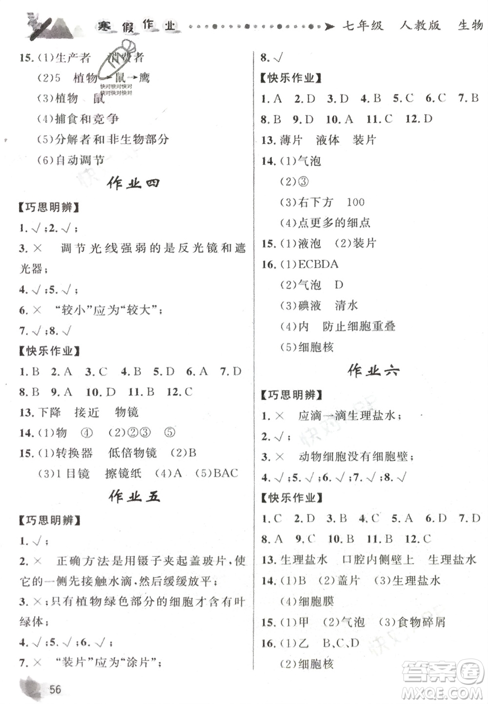 甘肅少年兒童出版社2024寒假作業(yè)七年級(jí)生物人教版參考答案