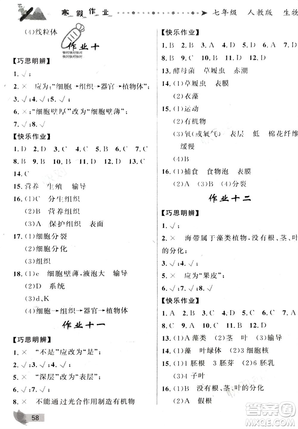 甘肅少年兒童出版社2024寒假作業(yè)七年級(jí)生物人教版參考答案