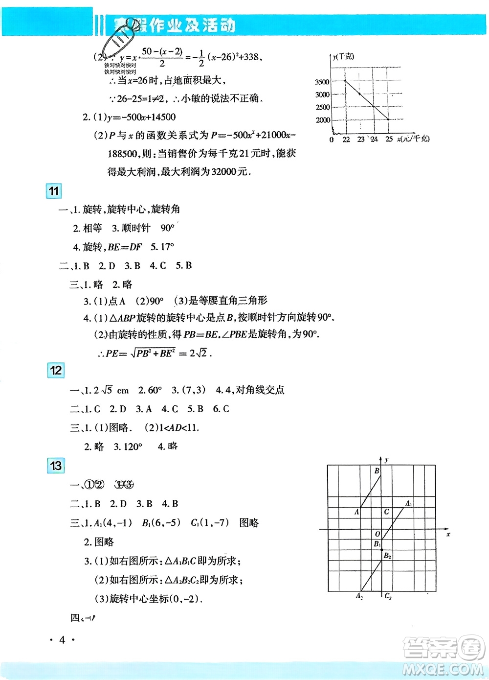 新疆文化出版社2024寒假作業(yè)及活動九年級數(shù)學(xué)通用版參考答案