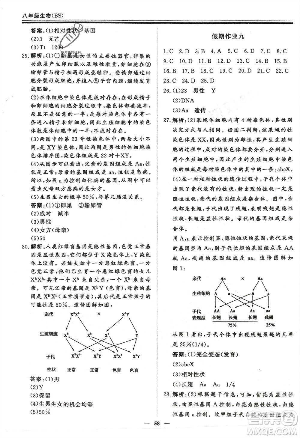 鄭州大學(xué)出版社2024新思維假期作業(yè)必刷題八年級生物北師大版參考答案