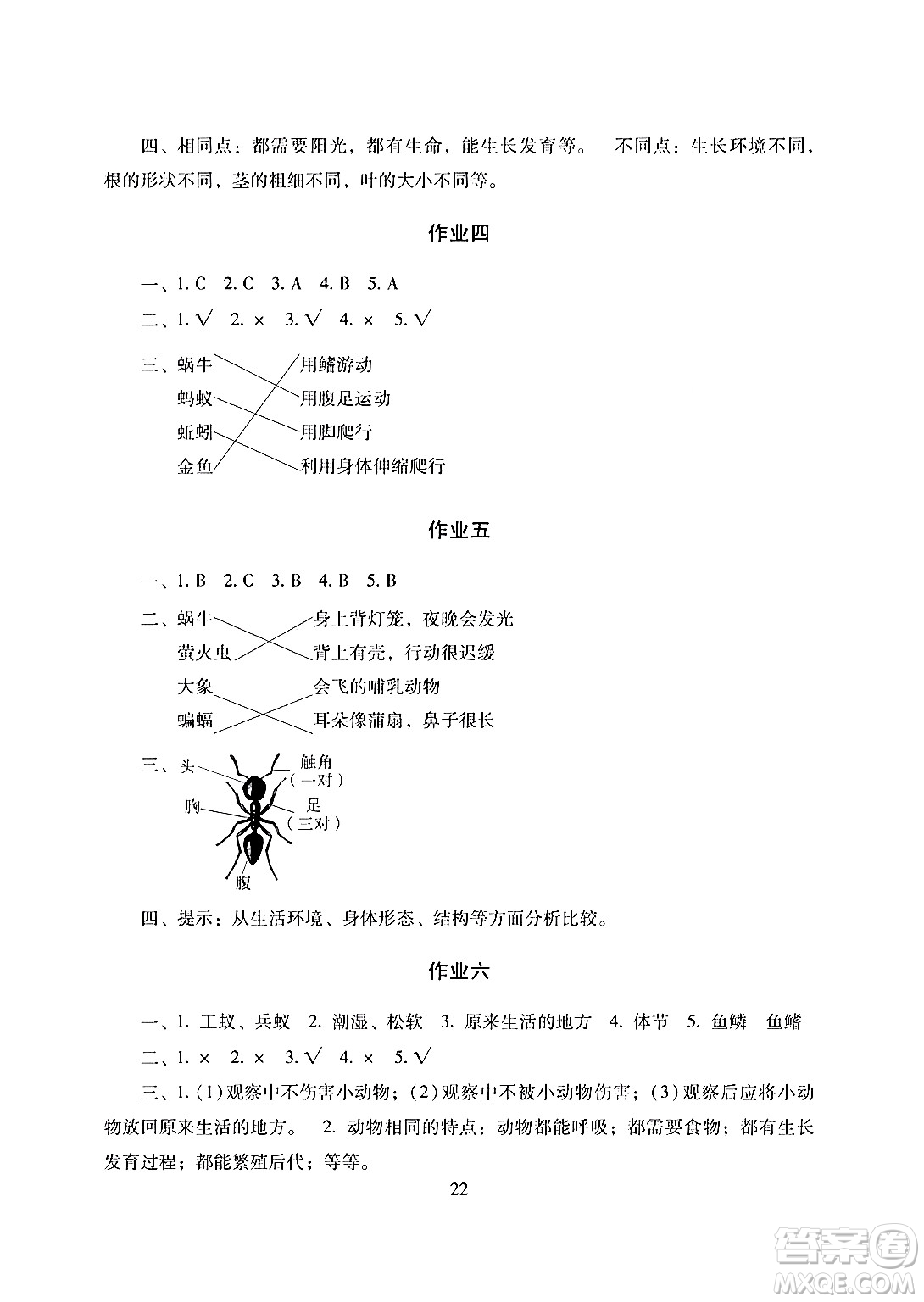 湖南少年兒童出版社2024寒假生活三年級(jí)合訂本課標(biāo)版答案