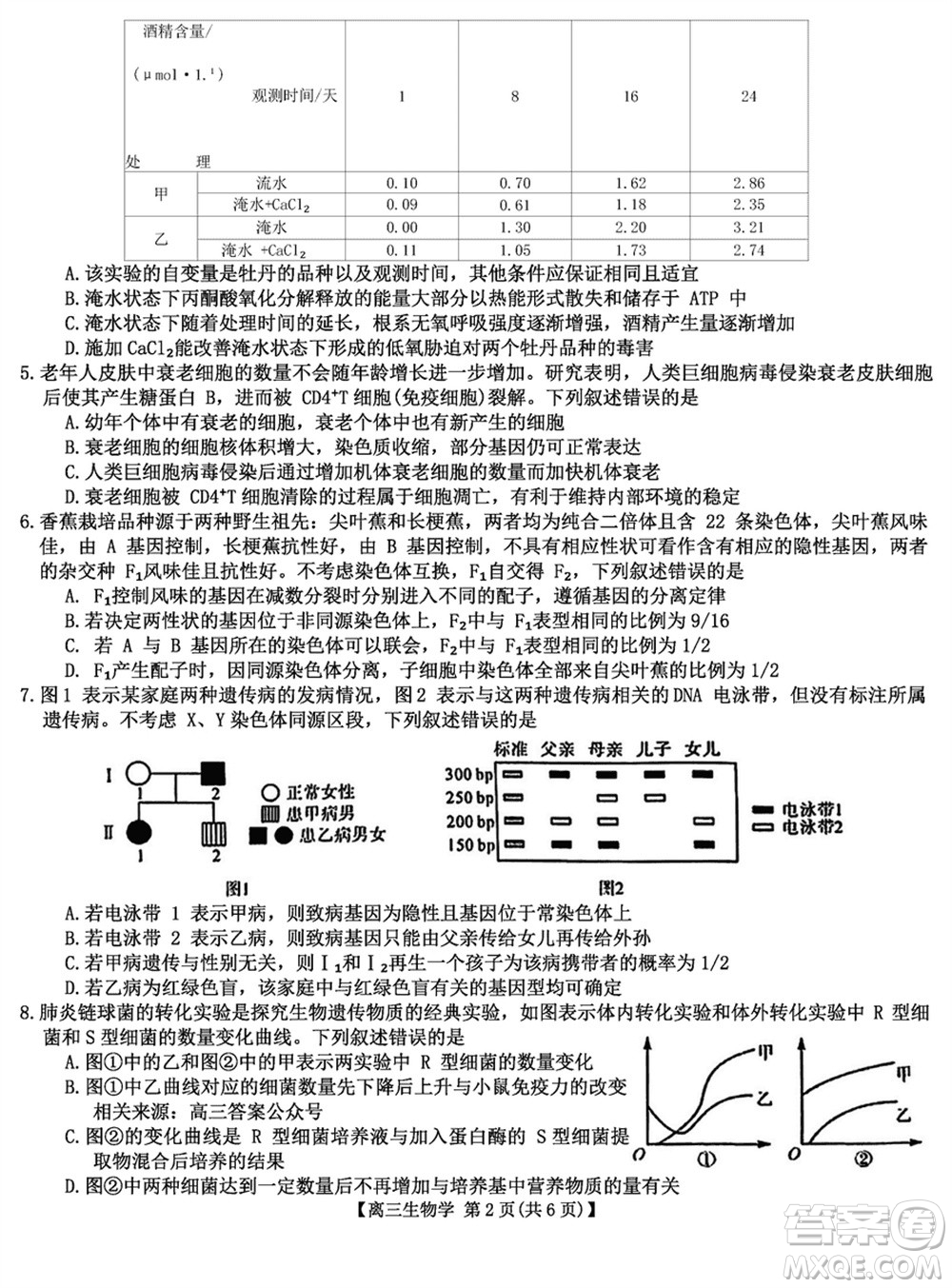 金科大聯(lián)考2024屆高三上學期1月質量檢測生物參考答案