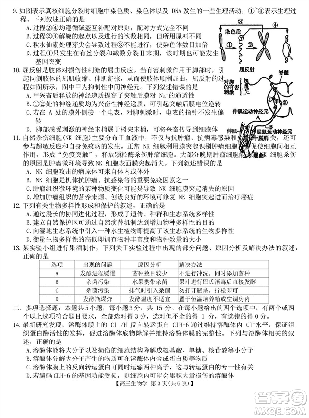 金科大聯(lián)考2024屆高三上學期1月質量檢測生物參考答案