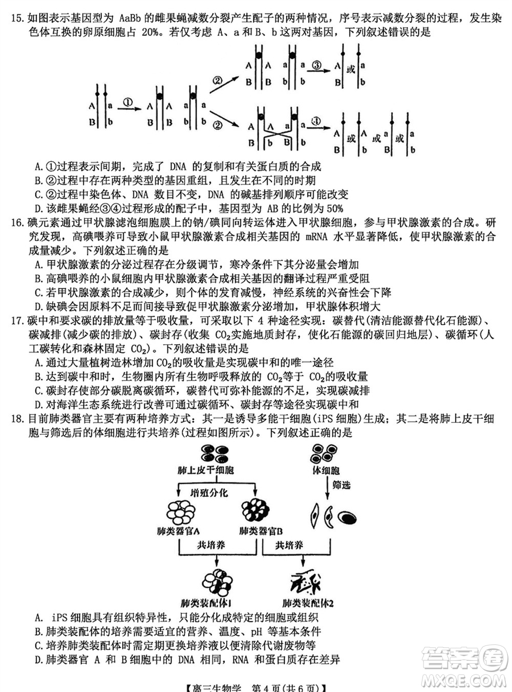 金科大聯(lián)考2024屆高三上學期1月質量檢測生物參考答案