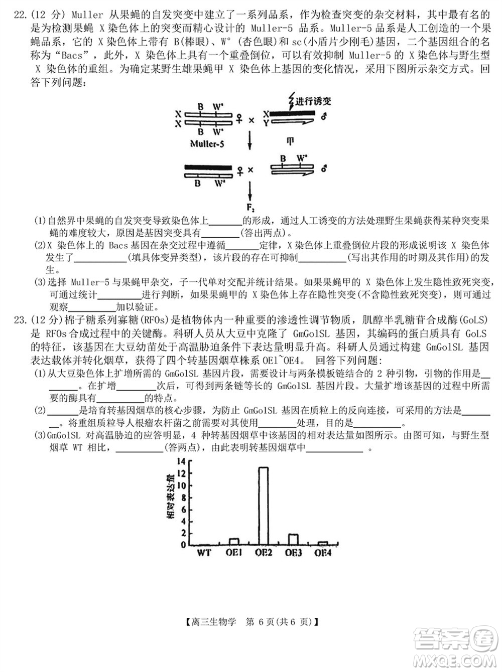 金科大聯(lián)考2024屆高三上學期1月質量檢測生物參考答案