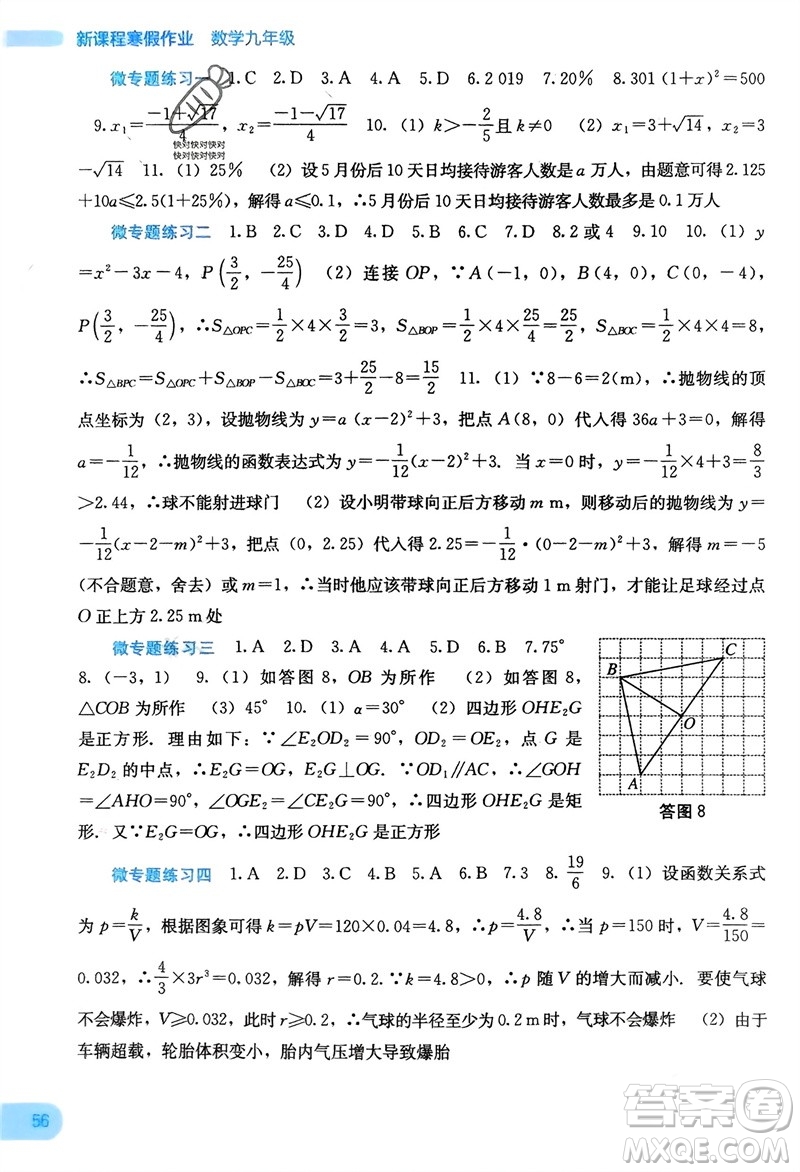 廣西教育出版社2024新課程寒假作業(yè)九年級數(shù)學(xué)通用版參考答案