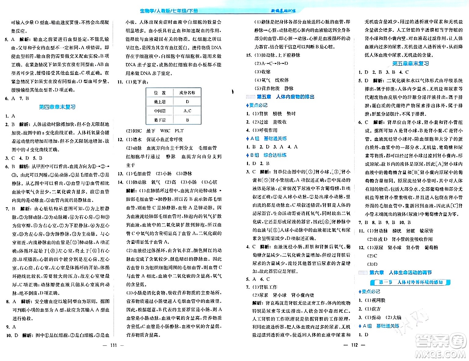 安徽教育出版社2024年春新編基礎訓練七年級生物下冊人教版安徽專版答案