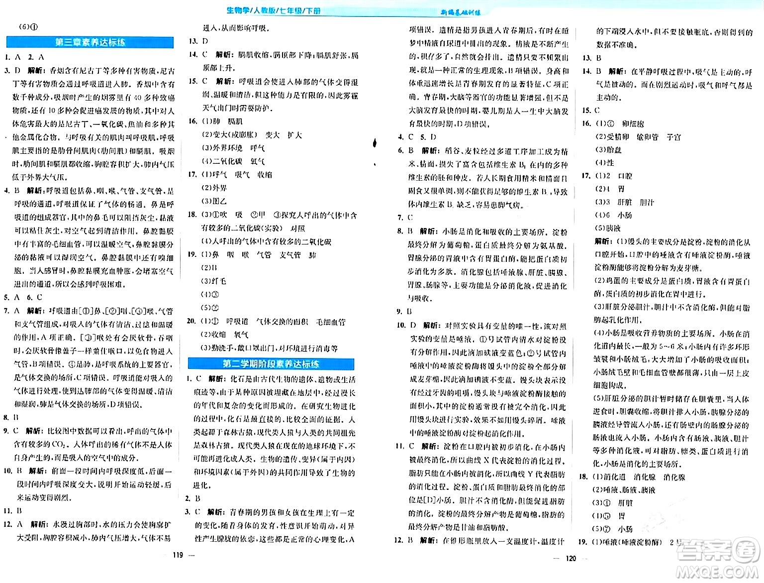 安徽教育出版社2024年春新編基礎訓練七年級生物下冊人教版安徽專版答案