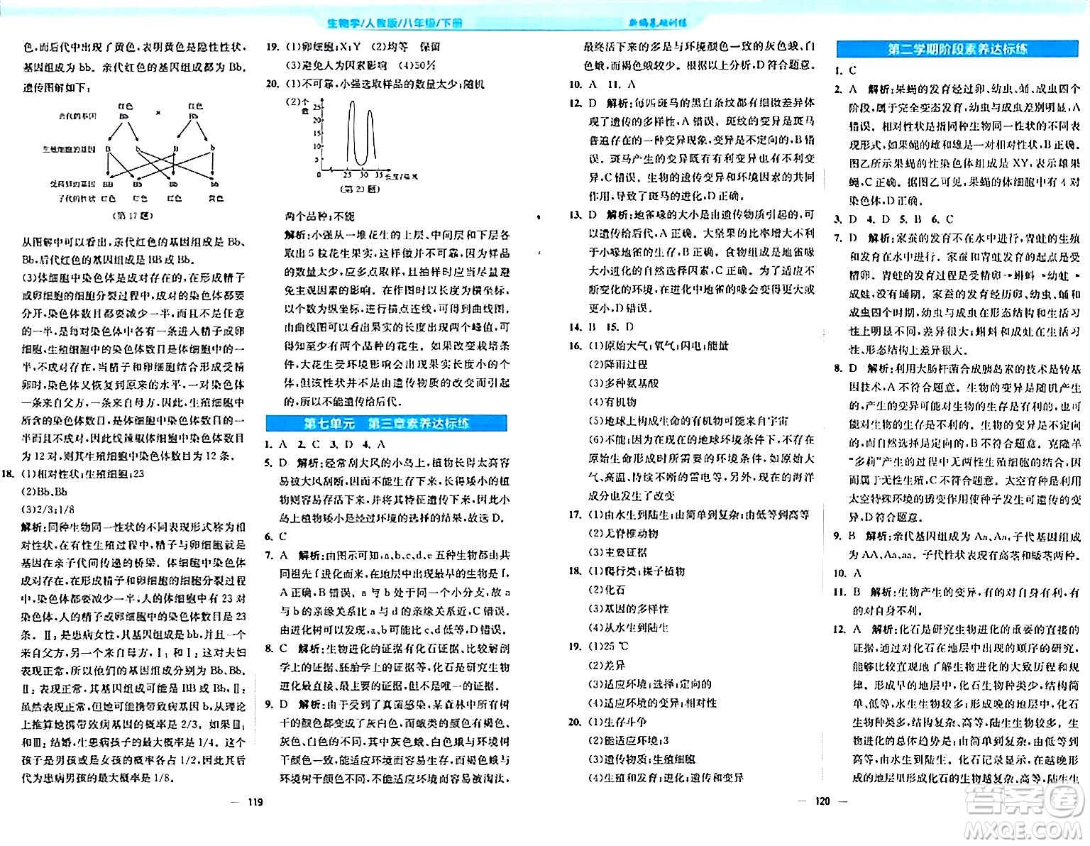 安徽教育出版社2024年春新編基礎(chǔ)訓(xùn)練八年級(jí)生物下冊(cè)人教版答案