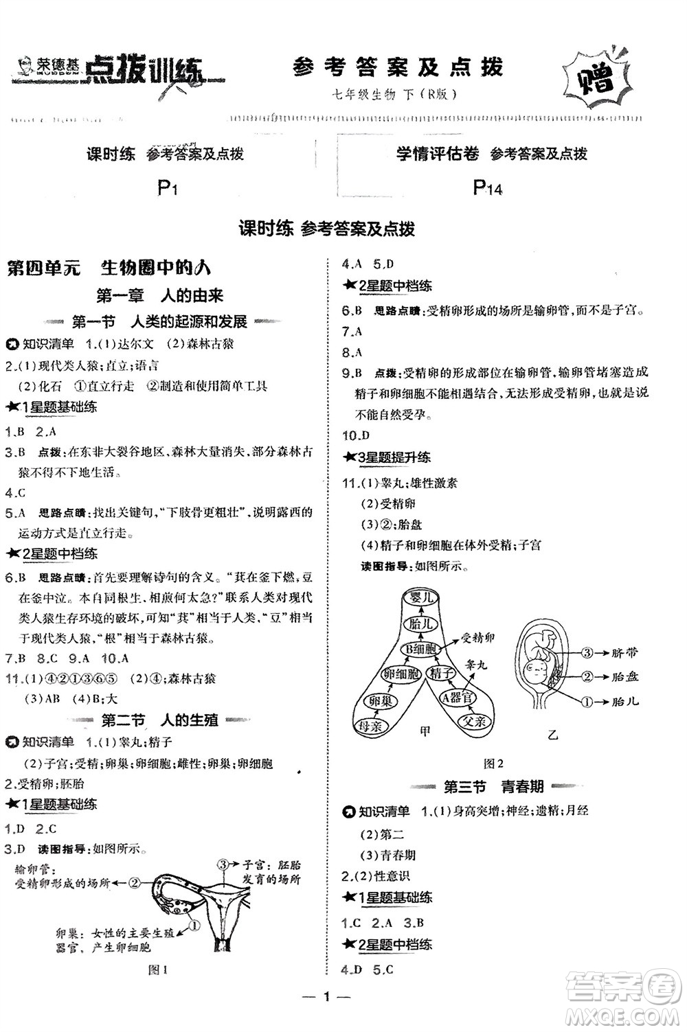 吉林教育出版社2024年春榮德基點(diǎn)撥訓(xùn)練七年級(jí)生物下冊(cè)人教版參考答案