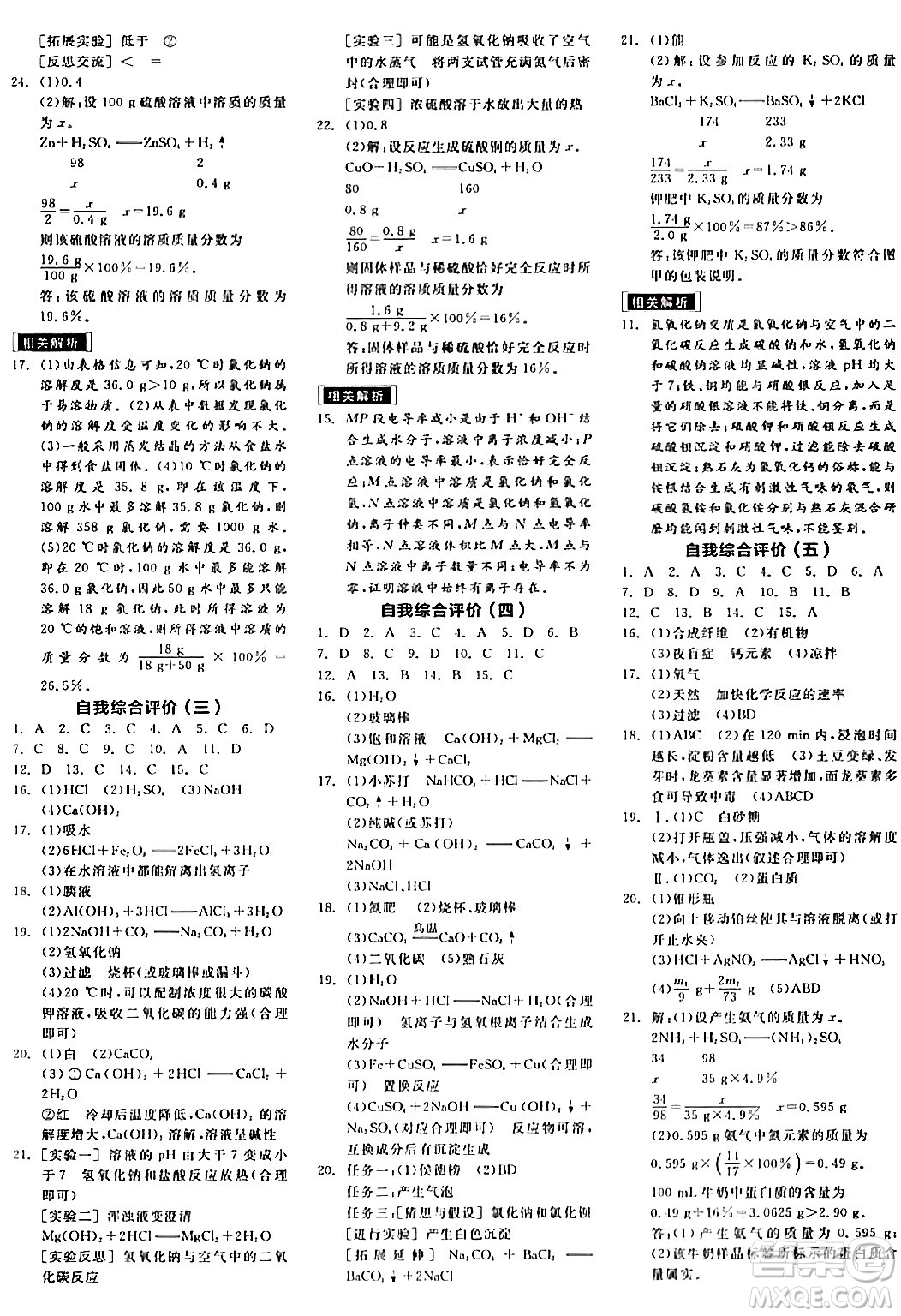 陽光出版社2024年春全品作業(yè)本九年級(jí)化學(xué)下冊(cè)人教版答案