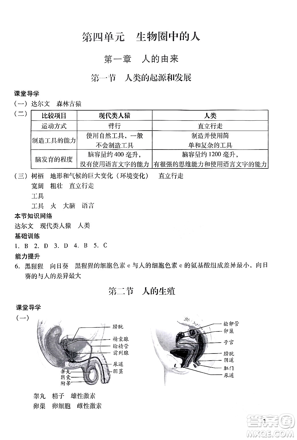 廣州出版社2024年春陽光學業(yè)評價七年級生物下冊人教版答案