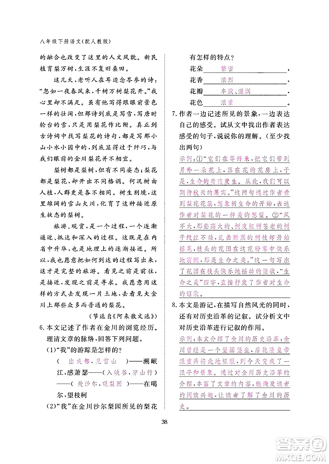 江西教育出版社2024年春語(yǔ)文作業(yè)本八年級(jí)語(yǔ)文下冊(cè)人教版答案