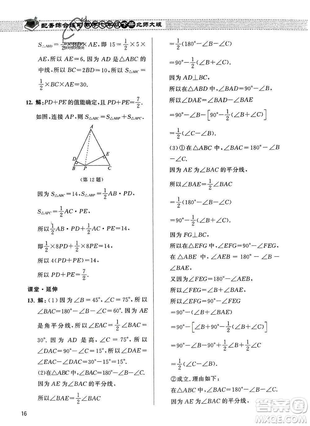 北京師范大學(xué)出版社2024年春配套綜合練習(xí)七年級(jí)數(shù)學(xué)下冊(cè)北師大版參考答案