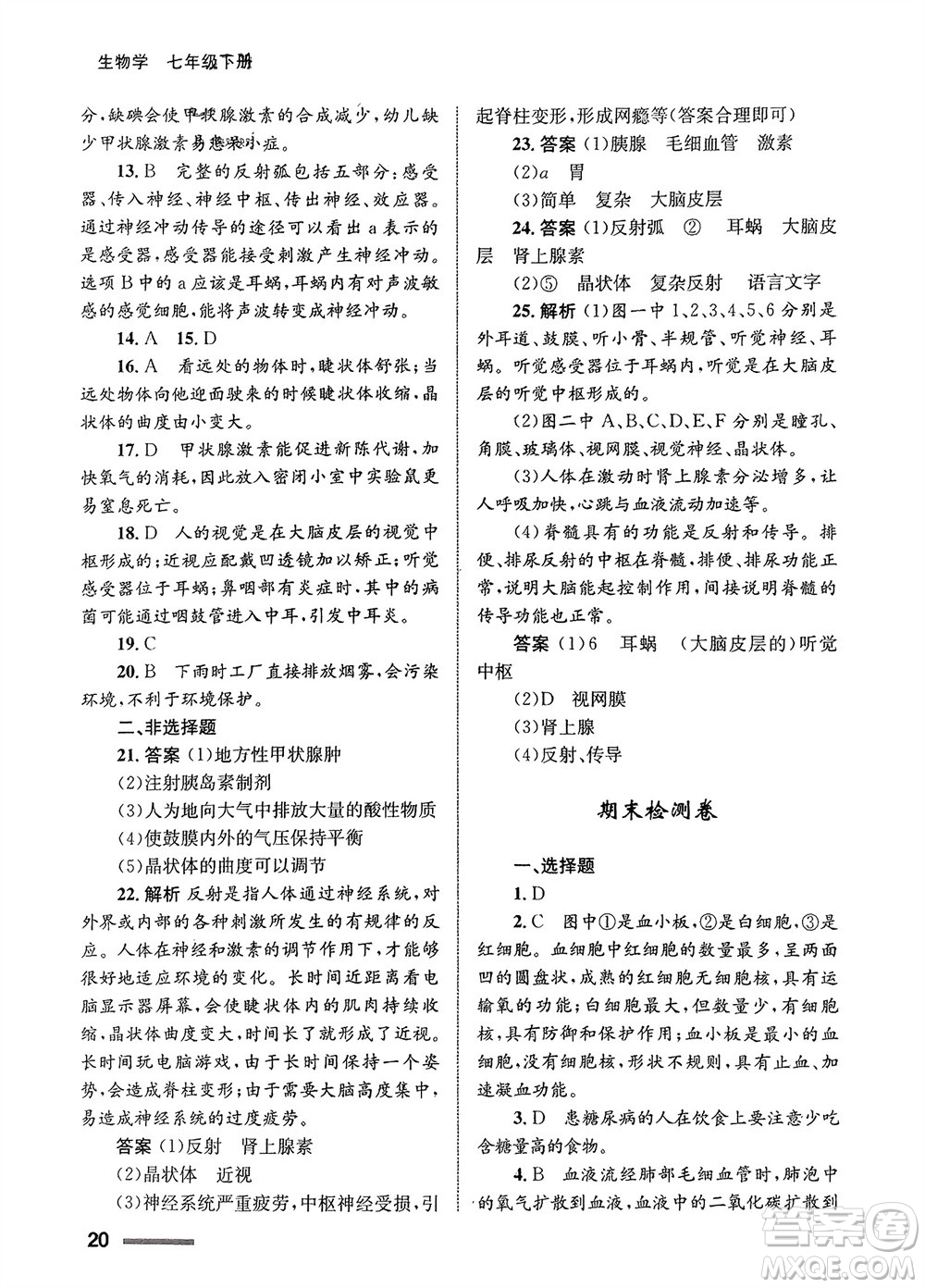 甘肅教育出版社2024年春配套綜合練習(xí)七年級生物下冊人教版參考答案