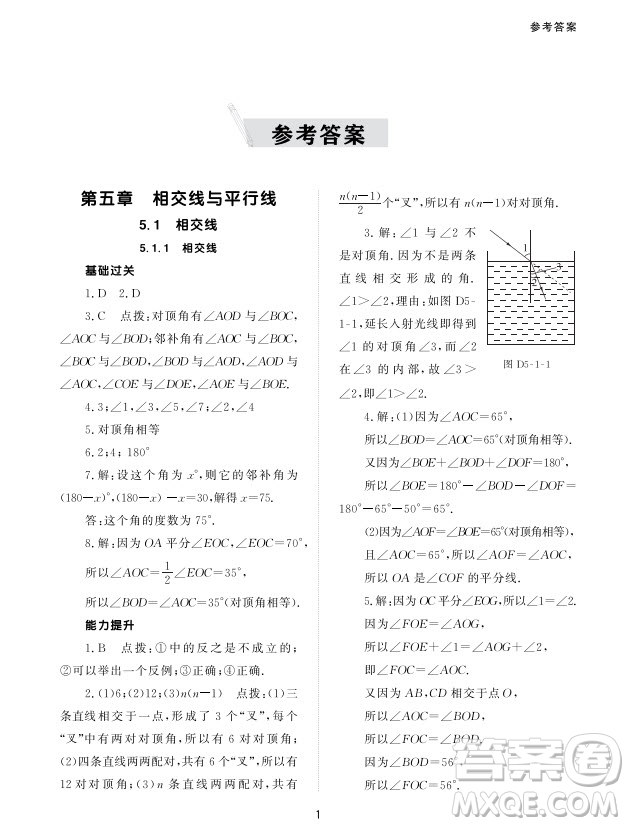 北京師范大學出版社2024年春配套綜合練習七年級數(shù)學下冊人教版參考答案