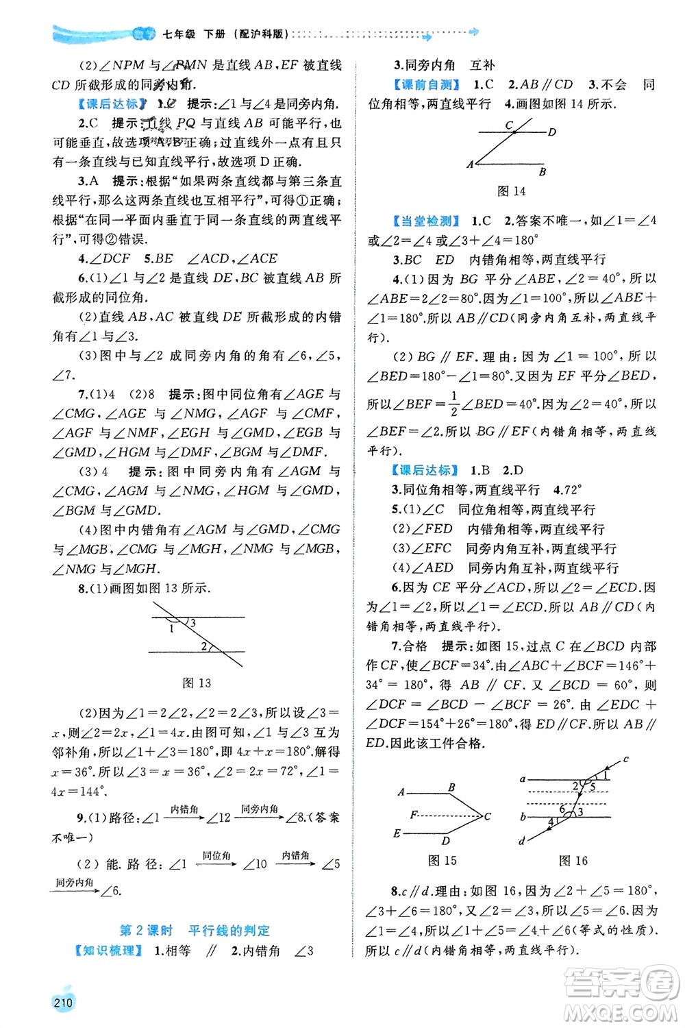 廣西師范大學(xué)出版社2024年春新課程學(xué)習(xí)與測(cè)評(píng)同步學(xué)習(xí)七年級(jí)數(shù)學(xué)下冊(cè)滬科版參考答案