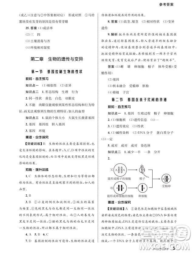 甘肅教育出版社2024年春配套綜合練習(xí)八年級(jí)生物下冊(cè)人教版參考答案